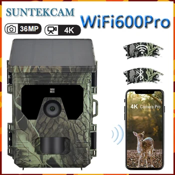 Новая камера для охоты с солнечной зарядкой WiFi600Pro Bluetooth WiFi Камера наружного наблюдения 4K Видео 36MP Приложение для онлайн-просмотра видео